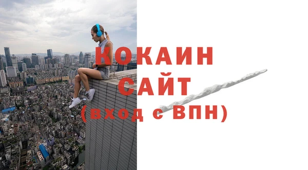 прущий лед Дмитриев