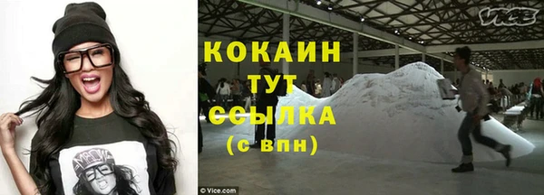 прущие грибы Яровое
