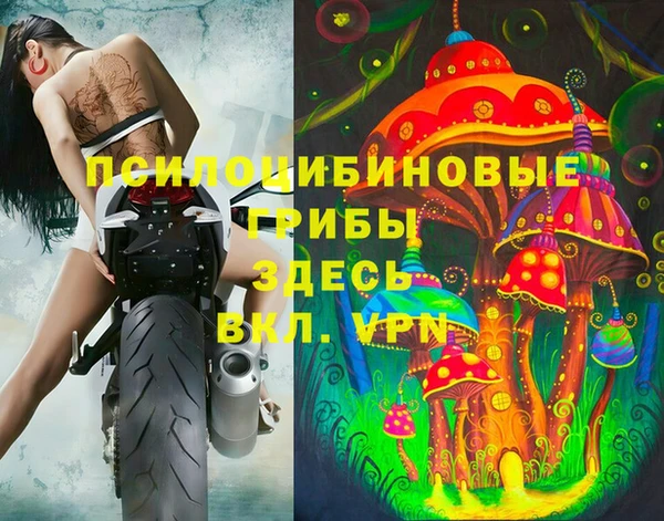 тгк Яранск
