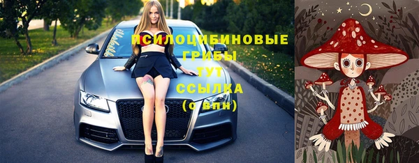 прущий лед Дмитриев
