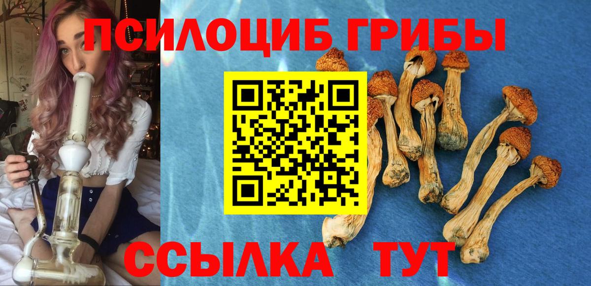 Псилоцибиновые грибы Psilocybe  Вход с VPN  Ишимбай 
