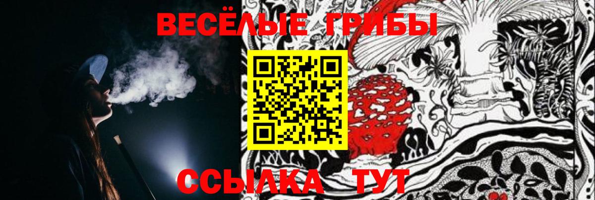 Псилоцибиновые грибы GOLDEN TEACHER  Ишимбай  Псилоцибиновые грибы мицелий 