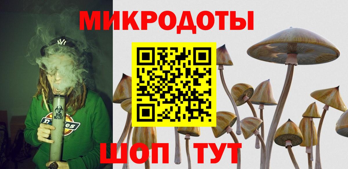 Галлюциногенные грибы Psilocybine cubensis Ишимбай